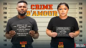 Jalouse du bonheur de sa meilleure amie,malgré ses propres défauts et sa cleptomanie, elle a décidé de tout faire pour briser son couple